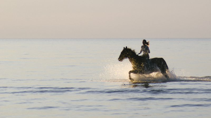 Foto “Girl riding horse” von Igor Trepeshchenok