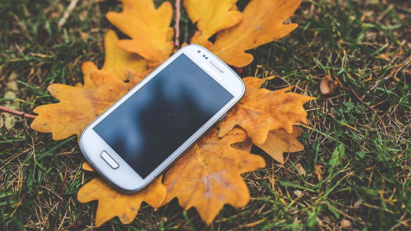 Photo “White mobile on the autumn leaves” by KaboomPics