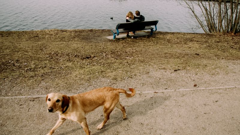 Photo “Dog and Couple in Park” by Roman Drits