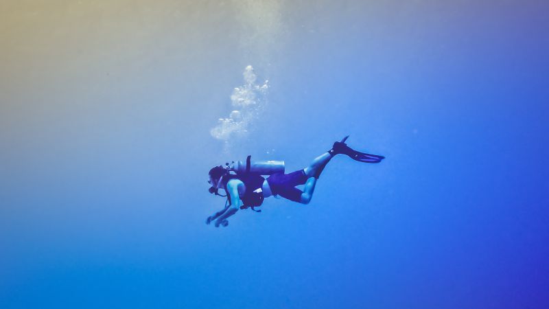 Photo “Diver In Empty Blue Space” by Ed Gregory