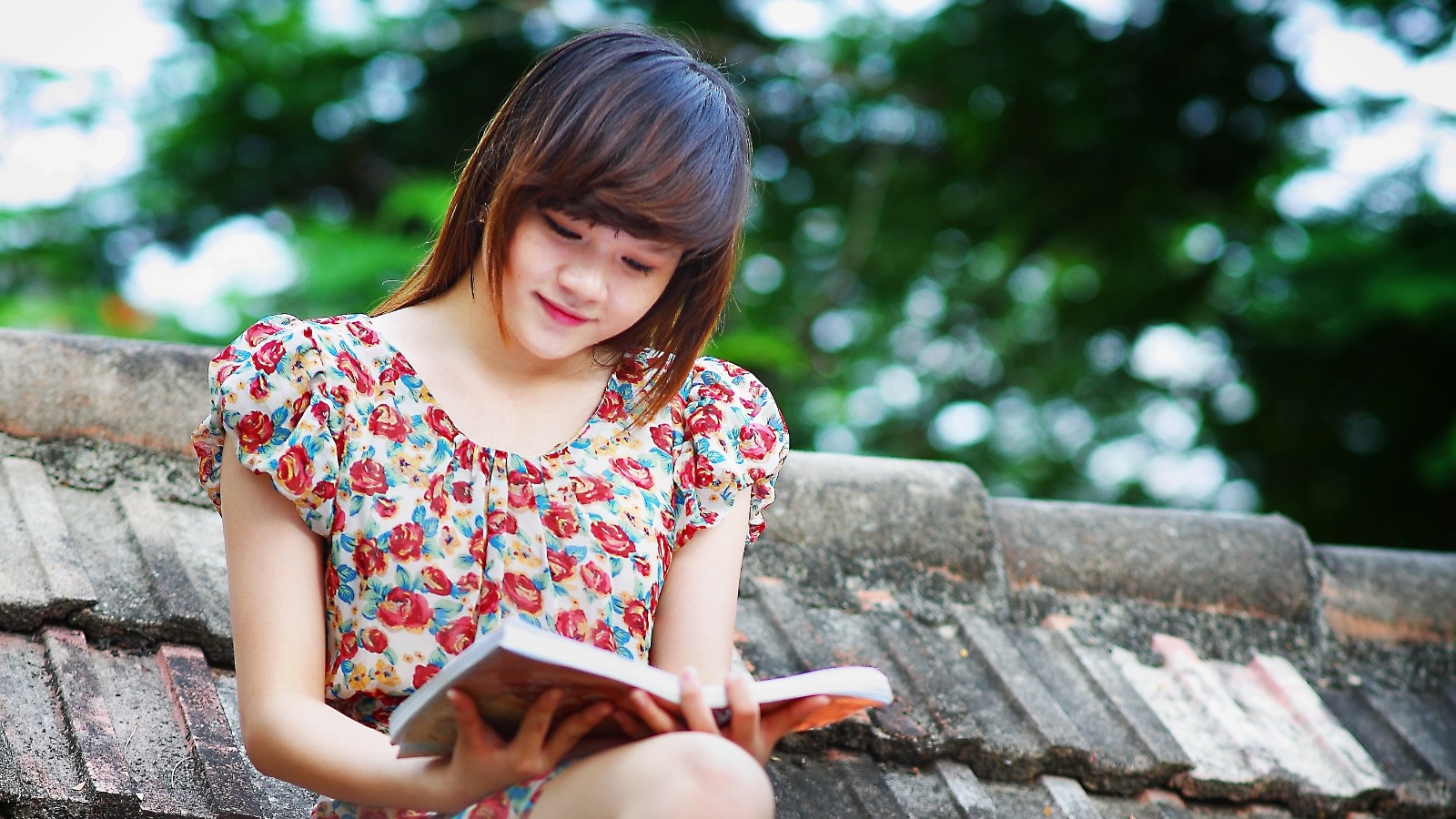 Foto “Woman Wearing White, Green, and Red Floral Cap-sleeved Dress Reading a Book on Black Roof Near Green Trees” von Pixabay